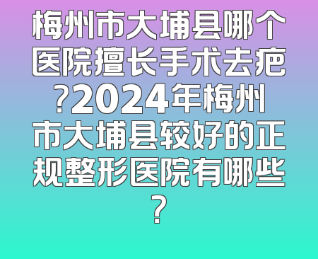 梅州市大埔县哪个医院擅长手术去疤？2024年梅州市大埔县较好的正规整形医院有哪些？