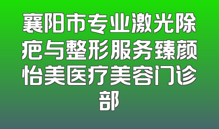 襄阳市专业激光除疤与整形服务臻颜怡美医疗美容门诊部