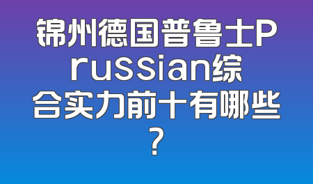 锦州德国普鲁士Prussian综合实力前十有哪些？