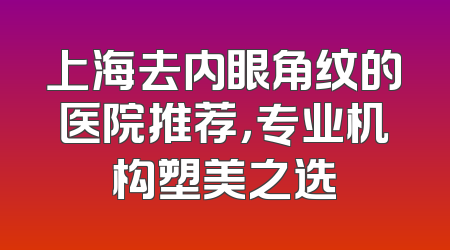 上海去内眼角纹的医院推荐，专业机构塑美之选