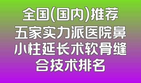 全国（国内）推荐五家实力派医院鼻小柱延长术软骨缝合技术排名