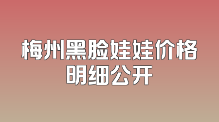 梅州黑脸娃娃价格明细公开