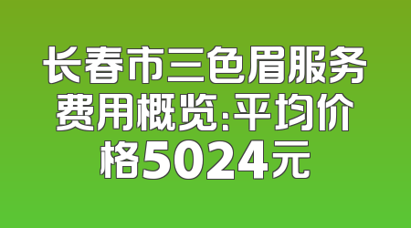 长春市三色眉服务费用概览：平均价格5024元