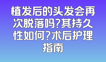 植发后的头发会再次脱落吗？其持久性如何？术后护理指南