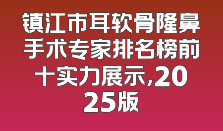 镇江市耳软骨隆鼻手术专家排名榜前十实力展示，2025版