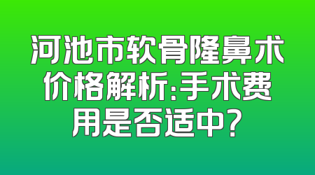 河池市软骨隆鼻术价格解析：手术费用是否适中？