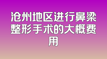 沧州地区进行鼻梁整形手术的大概费用