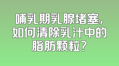 哺乳期乳腺堵塞，如何清除乳汁中的脂肪颗粒？