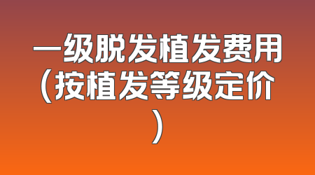一级脱发植发费用（按植发等级定价）