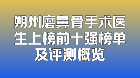 朔州磨鼻骨手术医生上榜前十强榜单及评测概览