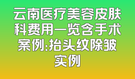 云南医疗美容皮肤科费用一览含手术案例：抬头纹除皱实例