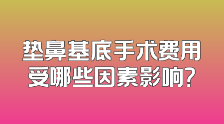 垫鼻基底手术费用受哪些因素影响？