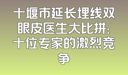 十堰市延长埋线双眼皮医生大比拼：十位专家的激烈竞争