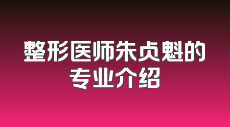整形医师朱占魁的专业介绍