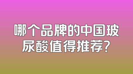 哪个品牌的中国玻尿酸值得推荐？
