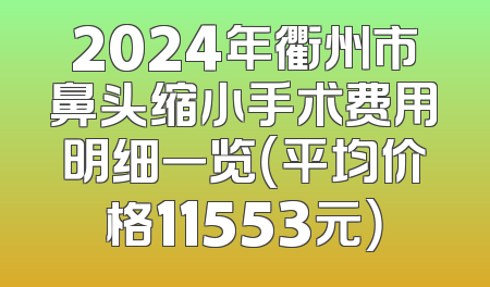 2024年衢州市鼻头缩小手术费用明细一览（平均价格11553元）