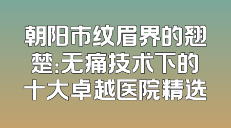 朝阳市纹眉界的翘楚：无痛技术下的十大卓越医院精选
