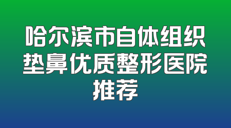 哈尔滨市自体组织垫鼻优质整形医院推荐