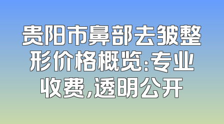 贵阳市鼻部去皱整形价格概览：专业收费，透明公开