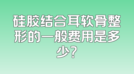 硅胶结合耳软骨整形的一般费用是多少？