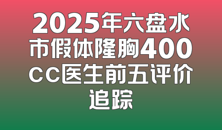 2025年六盘水市假体隆胸400cc医生前五评价追踪