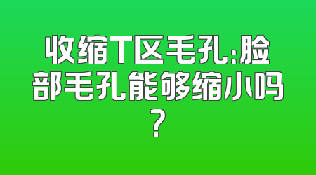 收缩T区毛孔：脸部毛孔能够缩小吗？
