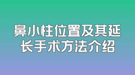 鼻小柱位置及其延长手术方法介绍