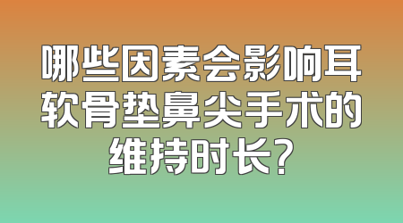 哪些因素会影响耳软骨垫鼻尖手术的维持时长？