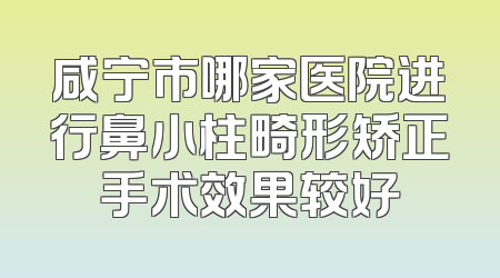 咸宁市哪家医院进行鼻小柱畸形矫正手术效果较好