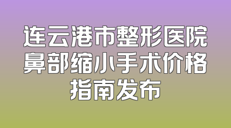 连云港市整形医院鼻部缩小手术价格指南发布
