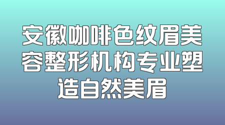 安徽咖啡色纹眉美容整形机构专业塑造自然美眉