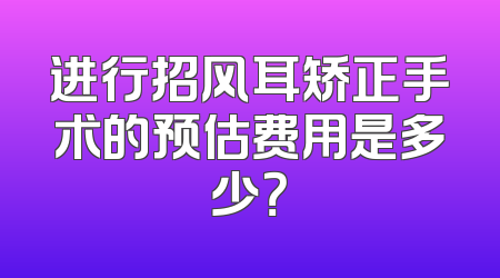 进行招风耳矫正手术的预估费用是多少？