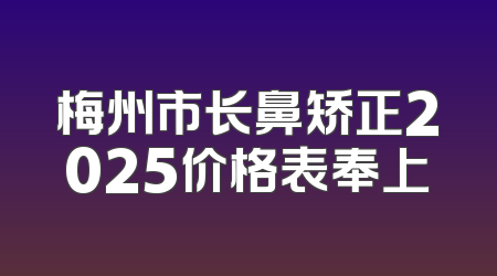 梅州市长鼻矫正2025价格表奉上