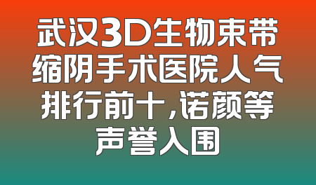 武汉3D生物束带缩阴手术医院人气排行前十，诺颜等声誉入围