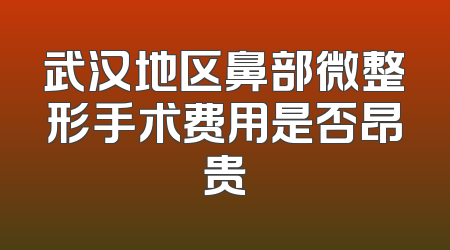武汉地区鼻部微整形手术费用是否昂贵
