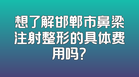 想了解邯郸市鼻梁注射整形的具体费用吗？