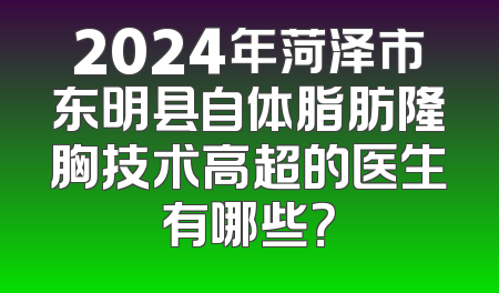 2024年菏泽市东明县自体脂肪隆胸技术高超的医生有哪些？