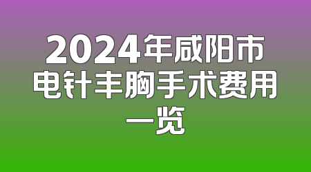 2024年咸阳市电针丰胸手术费用一览