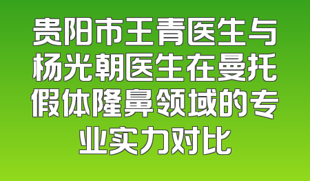 贵阳市王青医生与杨光朝医生在曼托假体隆鼻领域的专业实力对比