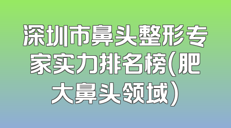 深圳市鼻头整形专家实力排名榜（肥大鼻头领域）