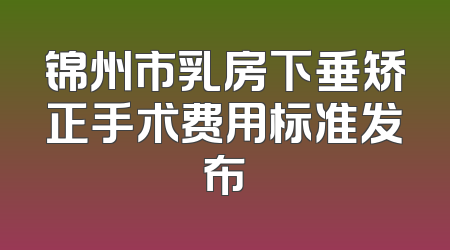锦州市乳房下垂矫正手术费用标准发布