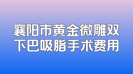 襄阳市黄金微雕双下巴吸脂手术费用