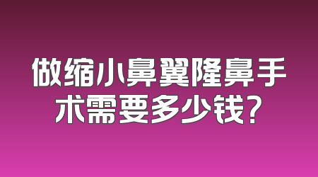 做缩小鼻翼隆鼻手术需要多少钱？