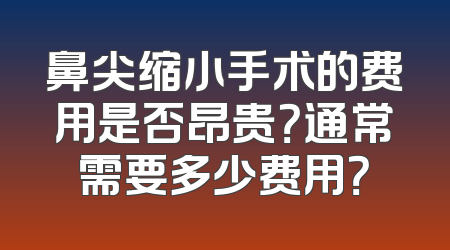 鼻尖缩小手术的费用是否昂贵？通常需要多少费用？