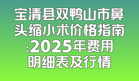 宝清县双鸭山市鼻头缩小术价格指南：2025年费用明细表及行情