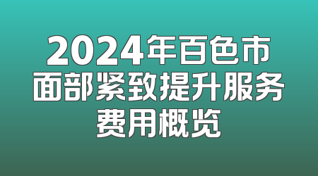 2024年百色市面部紧致提升服务费用概览