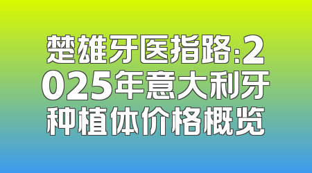 楚雄牙医指路：2025年意大利牙种植体价格概览