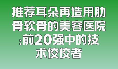 推荐耳朵再造用肋骨软骨的美容医院：前20强中的技术佼佼者