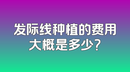 发际线种植的费用大概是多少？