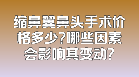 缩鼻翼鼻头手术价格多少？哪些因素会影响其变动？
